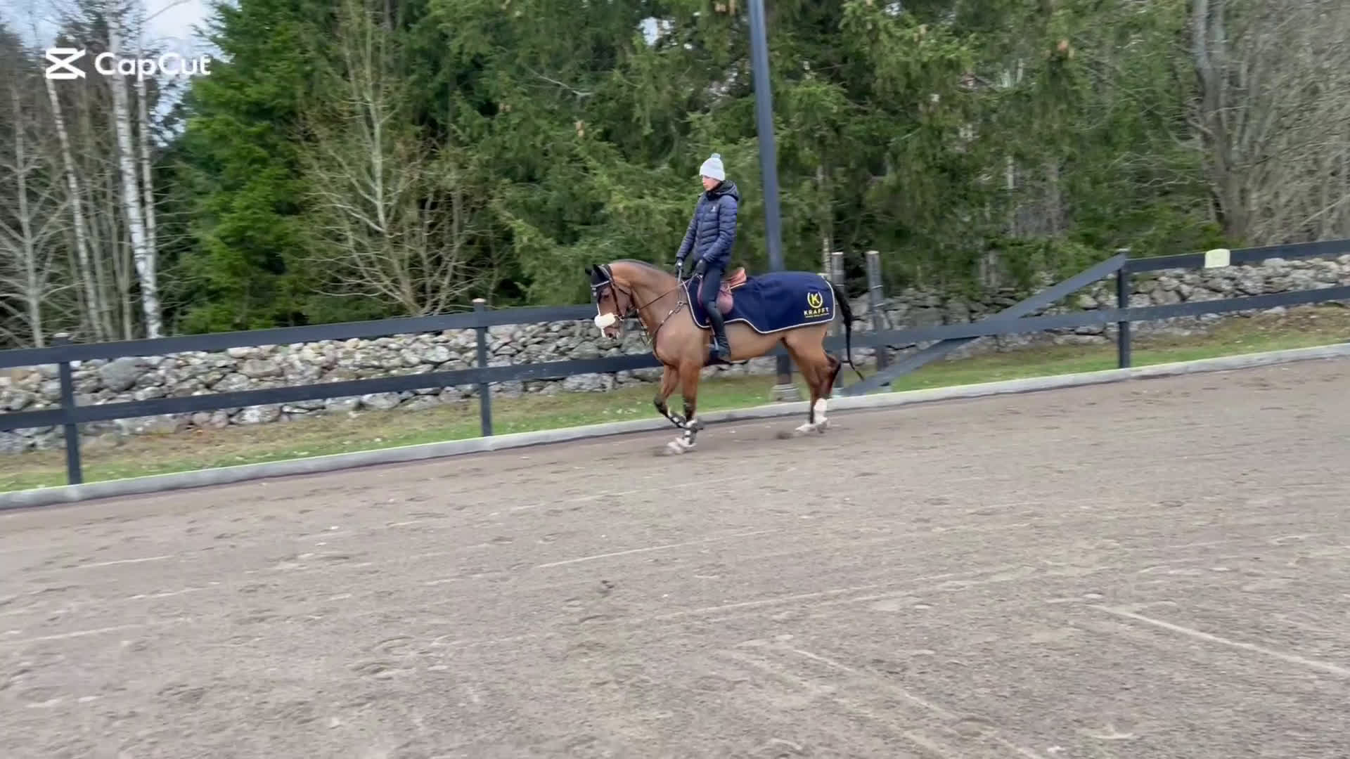 Hoppning hästar till salu: Toppstammat prestationssto med tävlingsmeriter i Linköping - Video 4