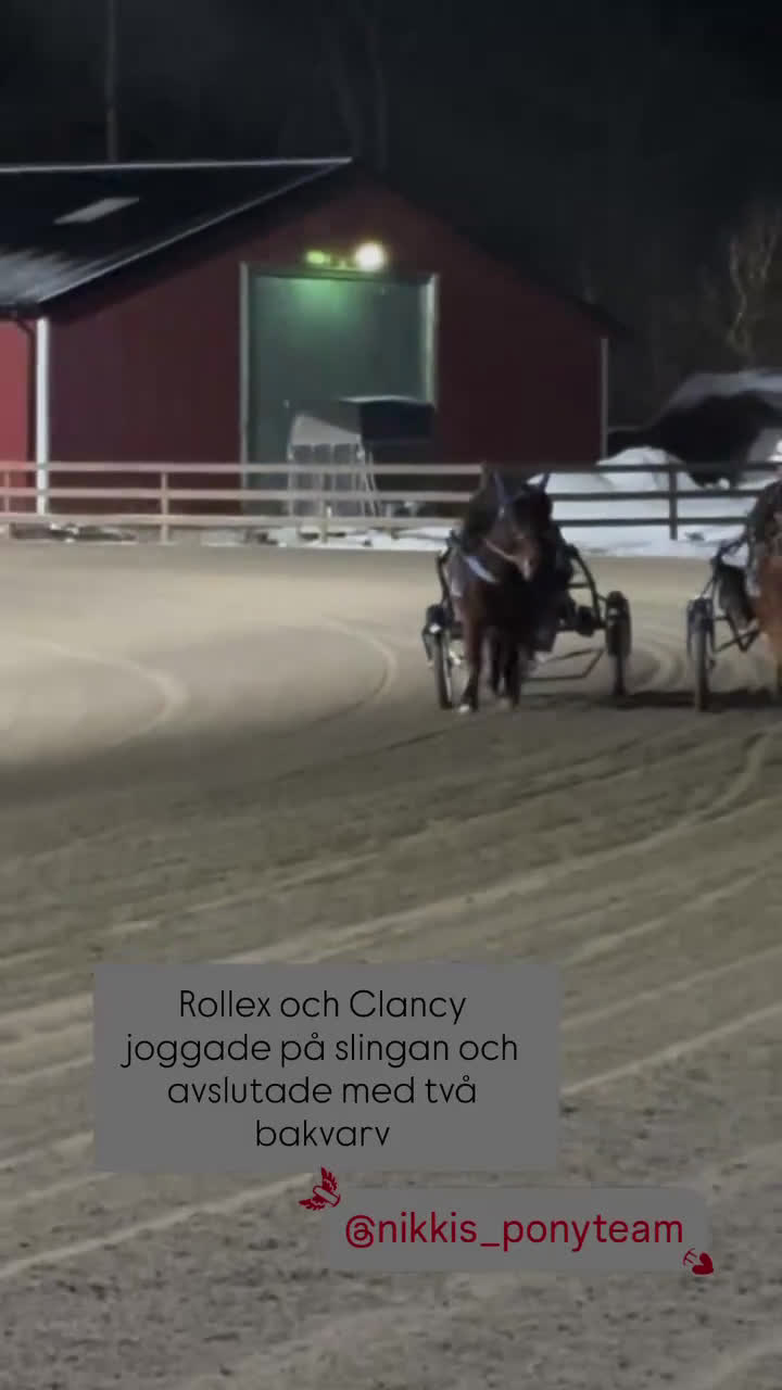 Trav hästar till salu: Snäll Ponnytravare med kapacitet! i Vassmolösa - Video 3