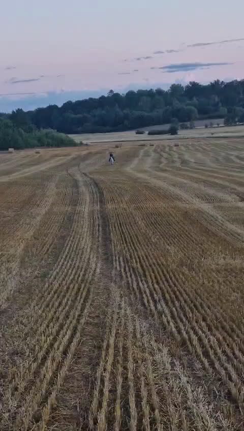 Allround hästar till salu: Fin Läromästare🌟 i Ronneby - Video 3