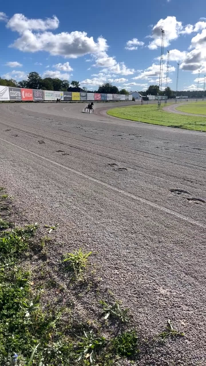 Trav hästar till salu: Trevlig valack till trav/ridning eller licenshäst i Klintehamn - Video 3