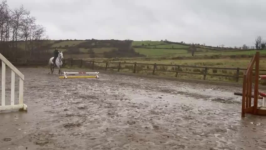 Allround hästar till salu: Irish sport horse  i Göteborg - Video 3