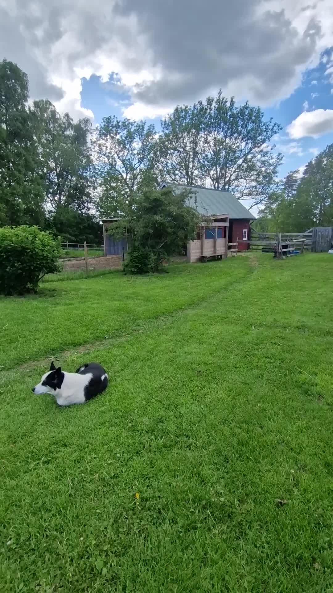  hästgårdar till salu: Litet torp med möjlighet att ha häst - Video 1