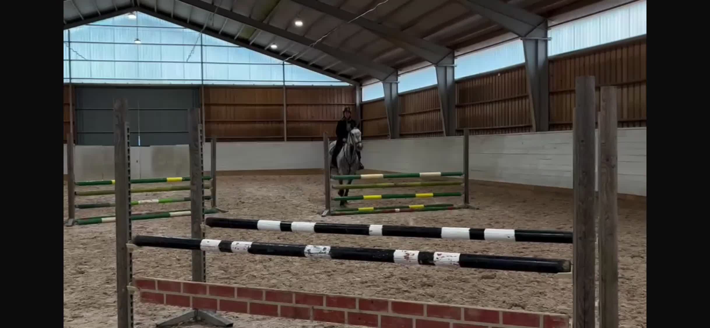 Allround hästar till salu: Allround häst mot hoppning - Video 1