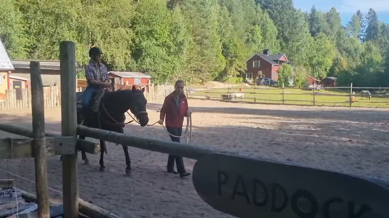 Western hästar till salu: Quarter horse, valack, 3år - Video 1