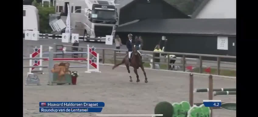 Hoppning hästar till salu: Fantastisk spranghest i Vesterøy - Video 1