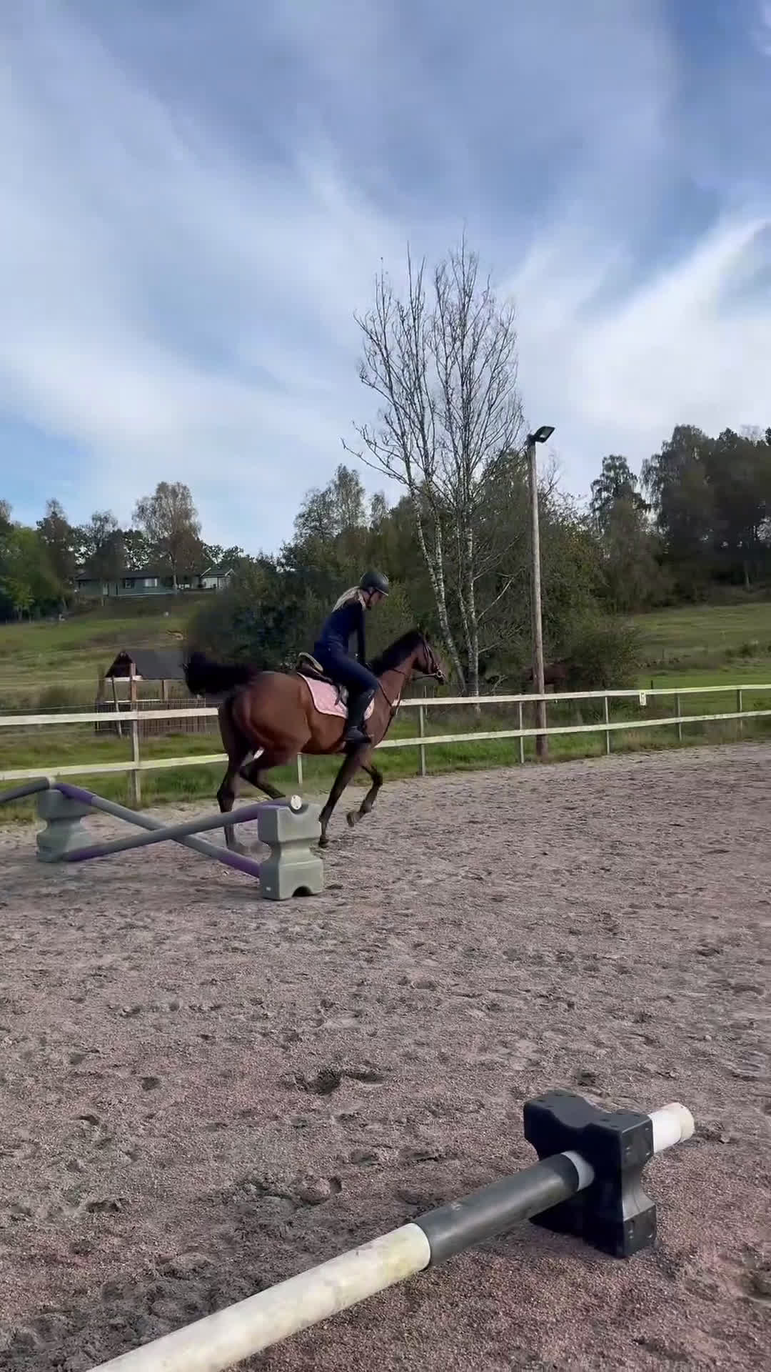 Allround hästar till salu: RESERVERAD- Världens bästa unghäst söker hem - Video 5