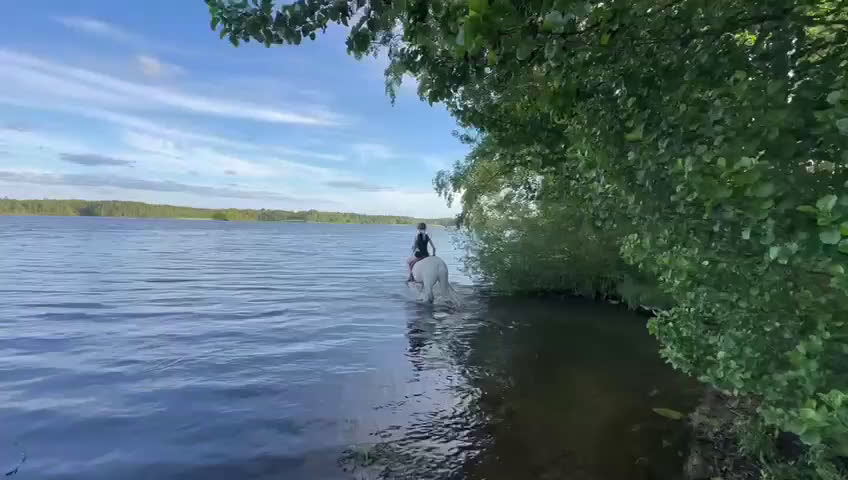 Hoppning hästar till salu: Drömponnyn Vera till salu! - Video 1