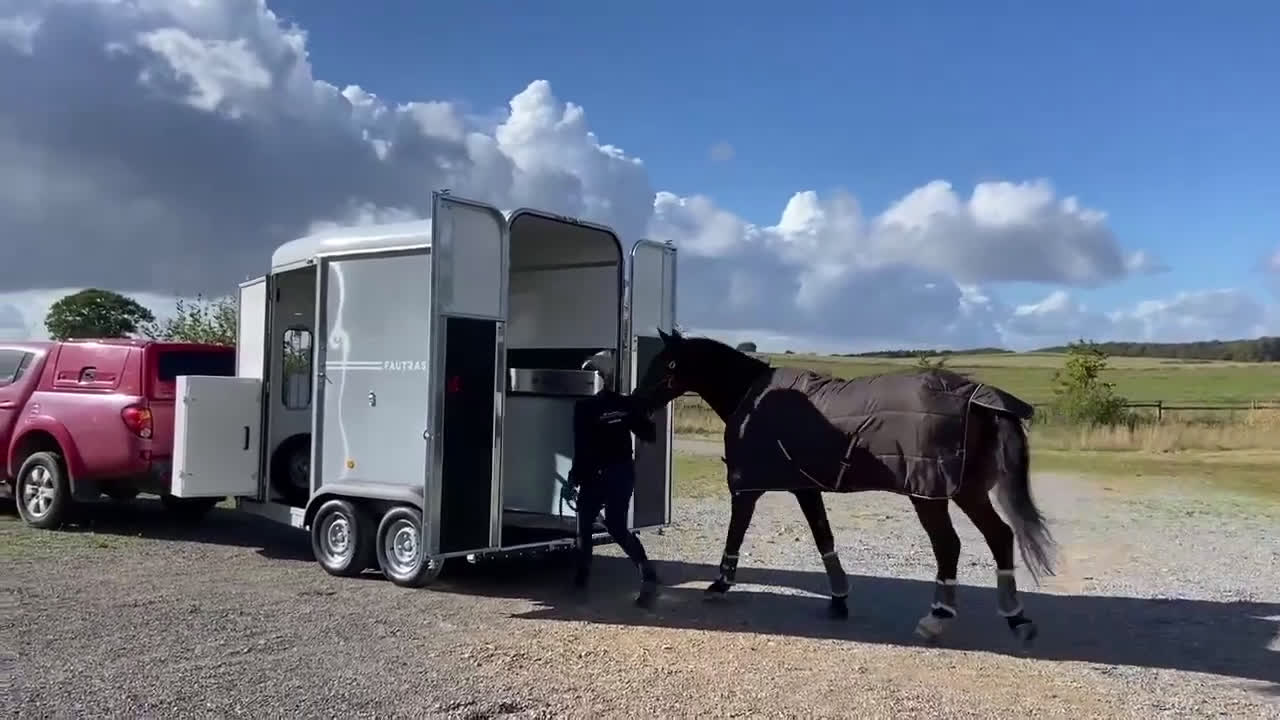 Hästtransporter  fordon & transport till salu: 1,5-hästars Fautras=Perfekt o rymlig för en häst - Video 3