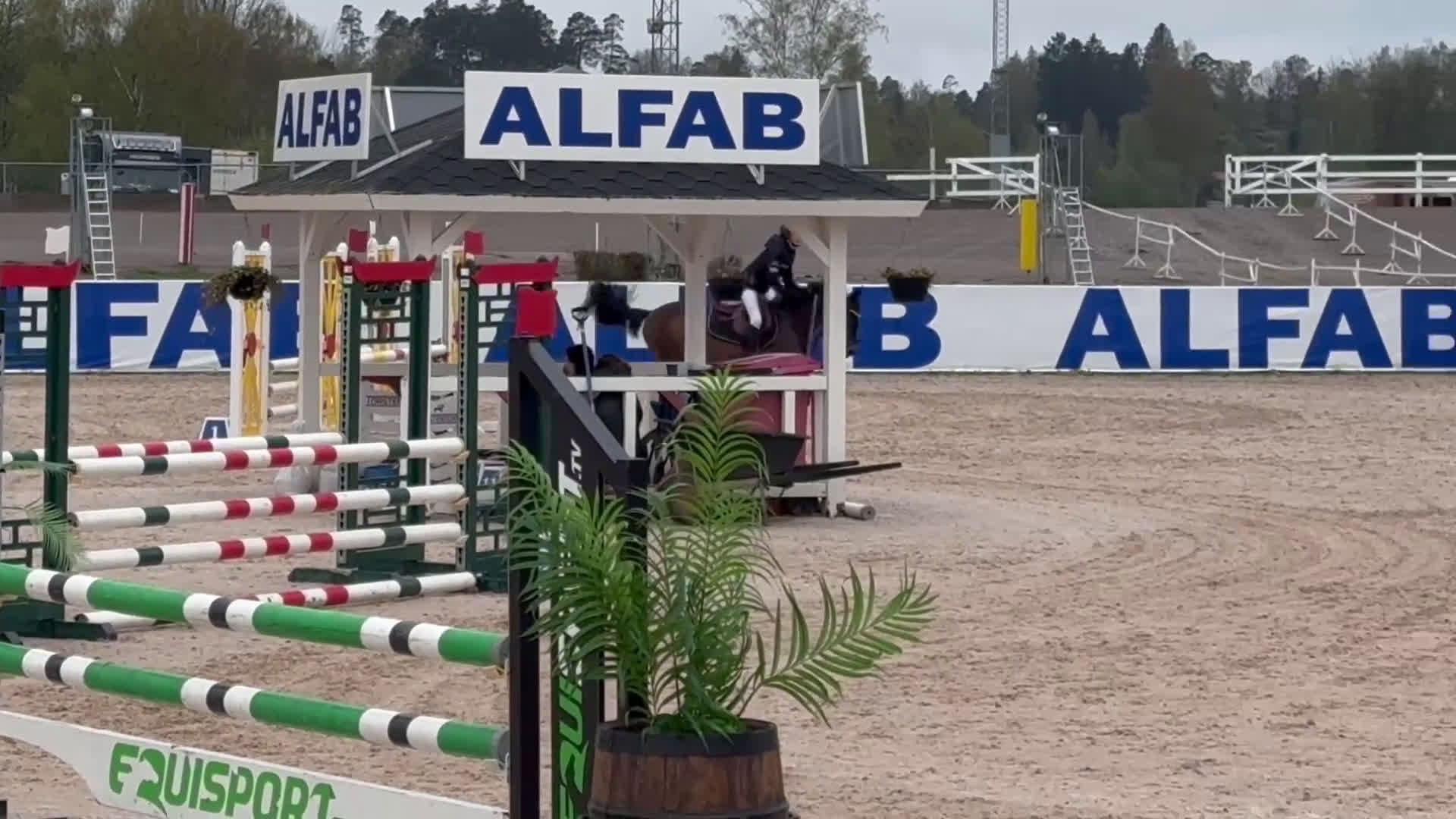 Allround hästar till salu: Fin maxad B-ponny i Helsingborg - Video 1
