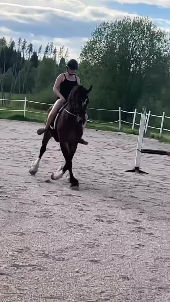 Dressyr hästar till salu: Vacker D-ponny valack med kapacitet. - Video 1