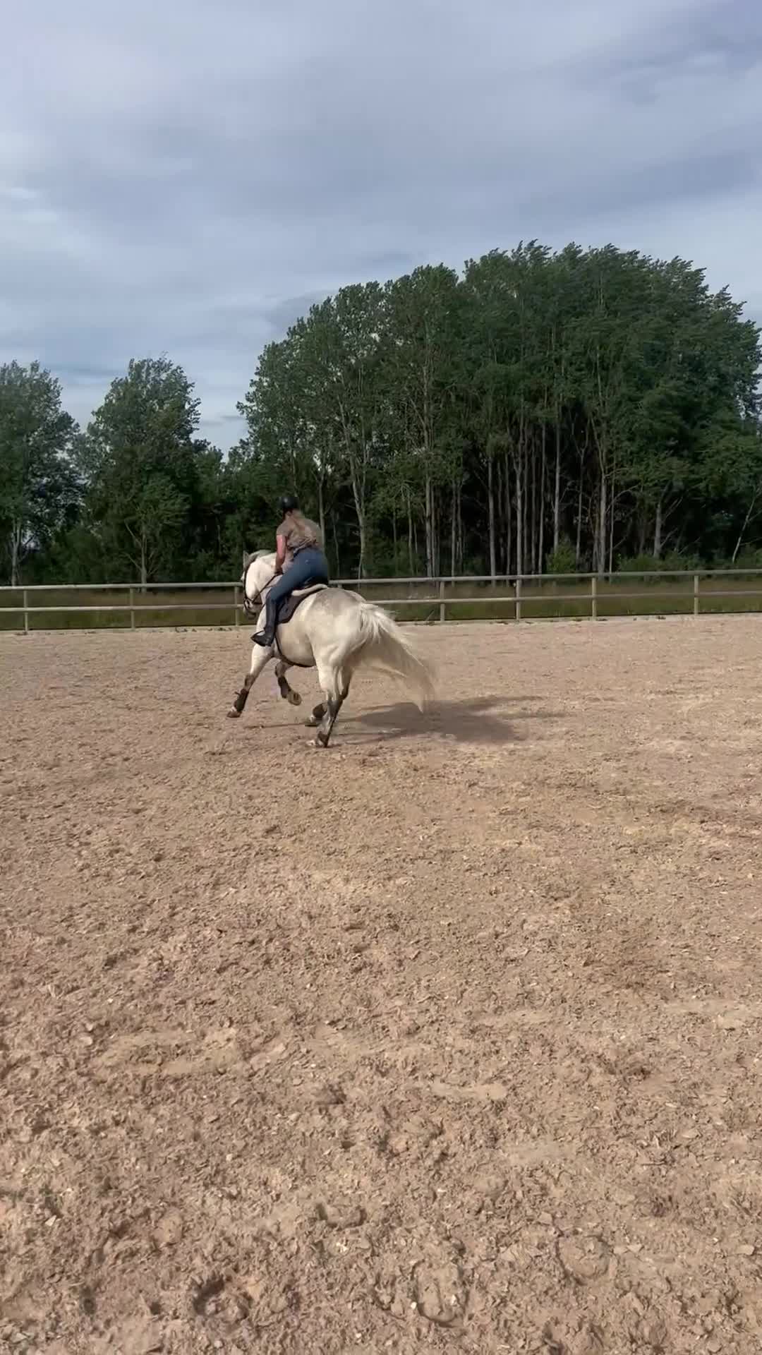 Allround hästar till salu: Härlig hopponny  i Nyköping - Video 1