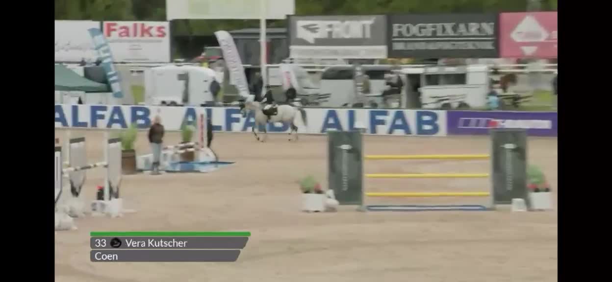 Hoppning hästar till salu: Hopphäst - Video 3