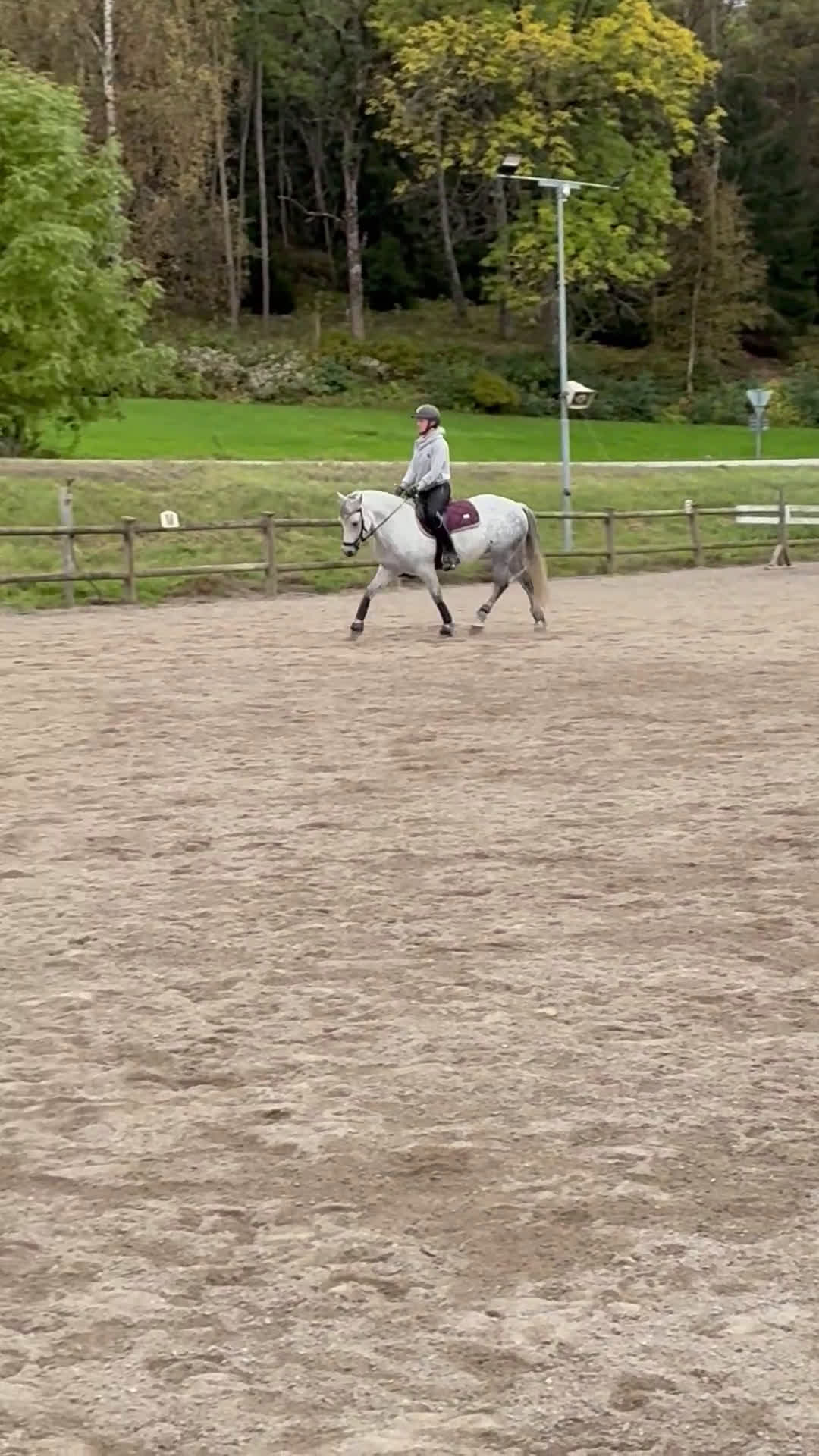 Hoppning hästar till salu: Fantastisk C-ponny säljes. i Grödinge - Video 3