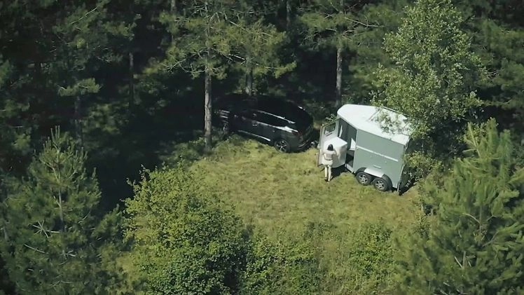 Hästtransporter  fordon & transport till salu: Fautras Promax - stadig o rymlig för stora hästar i Kvicksund - Video 1