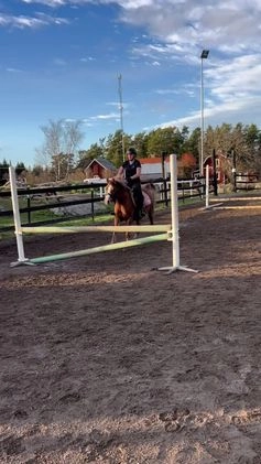  medryttarhäst finnes: Söker medryttarhäst i Åkersberga - Video 2