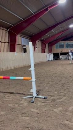  foderhäst sökes: Fodervärd/medryttare i Stocksund - Video 1