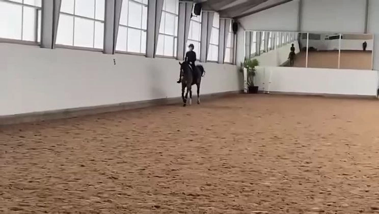 Allround hästar till salu: Välriden fälttävlan/hopphäst. Perfekt juniorhäst. i Kävlinge - Bild 1