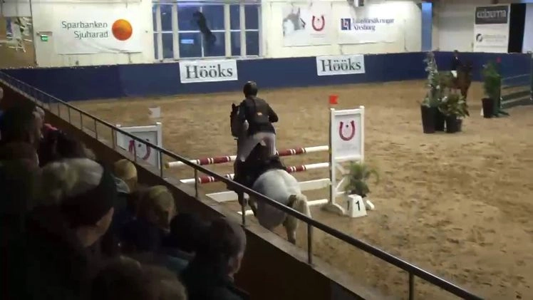 Hoppning hästar till salu: ⭐️Dolce Vita⭐️ i Njurunda - Video 1