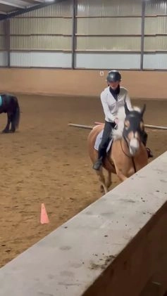 Allround hästar sökes: Låna häst till senare köp!🌟 i Vänersborg - Video 2