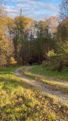 Allround hästar sökes: Låna häst till senare köp!🌟 i Vänersborg - Video 5