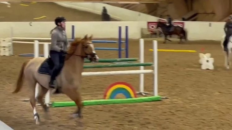 Allround hästar till salu: Trevligt allroundsto i Björklinge - Video 1