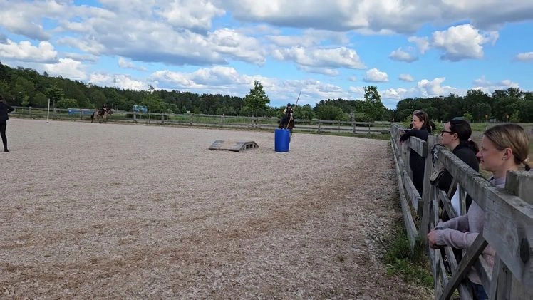  medryttarhäst sökes: Söker Medryttarhäst - Video 1